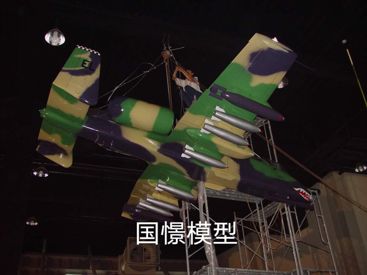 金山区军事模型