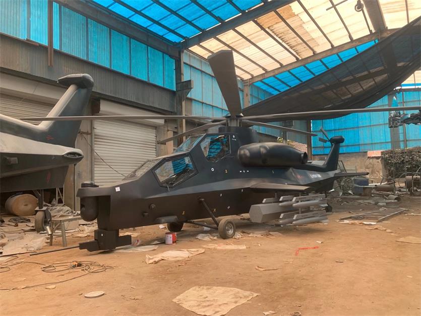 金山区军事模型